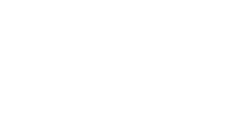 MVP IT Solution